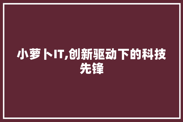 小萝卜IT,创新驱动下的科技先锋