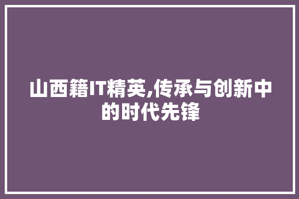 山西籍IT精英,传承与创新中的时代先锋