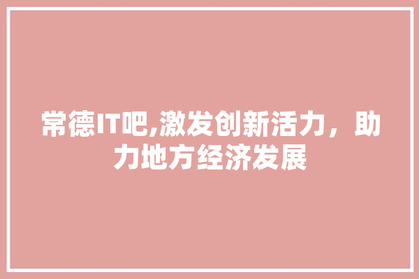 常德IT吧,激发创新活力，助力地方经济发展