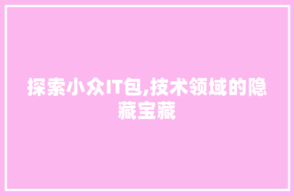 探索小众IT包,技术领域的隐藏宝藏