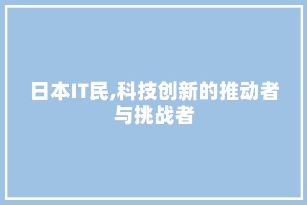 日本IT民,科技创新的推动者与挑战者