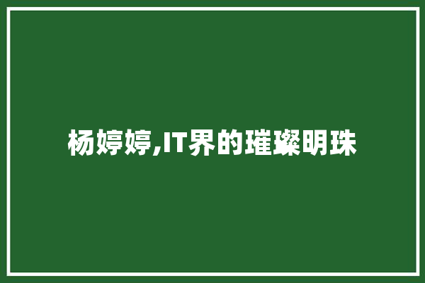 杨婷婷,IT界的璀璨明珠 智能写作