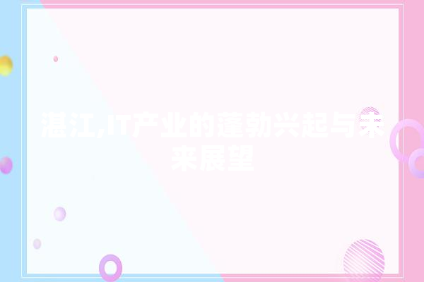 湛江,IT产业的蓬勃兴起与未来展望