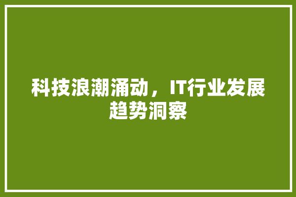 科技浪潮涌动，IT行业发展趋势洞察