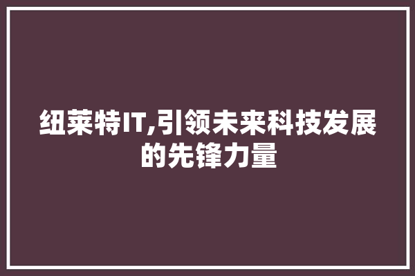纽莱特IT,引领未来科技发展的先锋力量