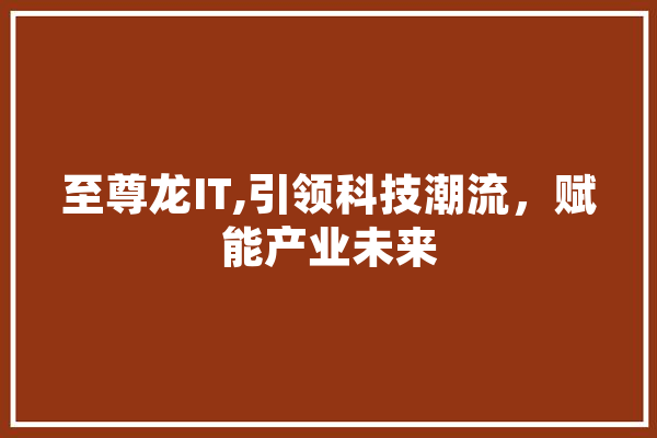 至尊龙IT,引领科技潮流，赋能产业未来