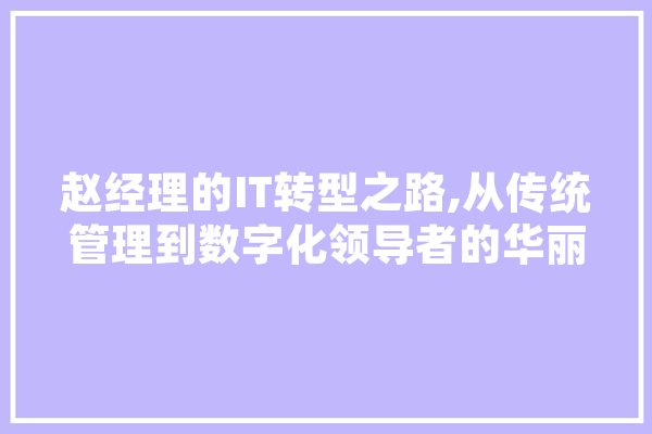 赵经理的IT转型之路,从传统管理到数字化领导者的华丽蜕变