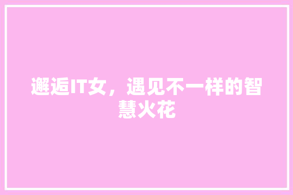 邂逅IT女，遇见不一样的智慧火花