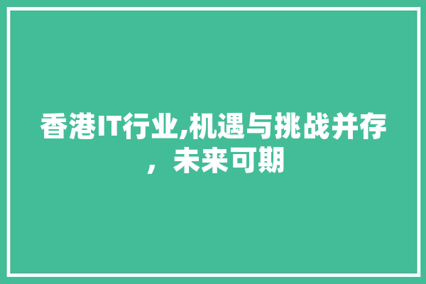 香港IT行业,机遇与挑战并存，未来可期