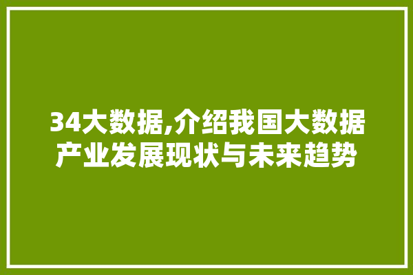 34大数据,介绍我国大数据产业发展现状与未来趋势 绘影字幕