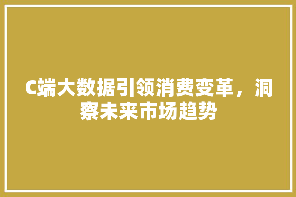 C端大数据引领消费变革，洞察未来市场趋势