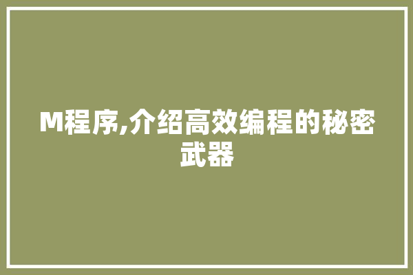 M程序,介绍高效编程的秘密武器 AI简讯