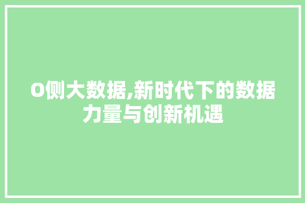 O侧大数据,新时代下的数据力量与创新机遇 绘影字幕