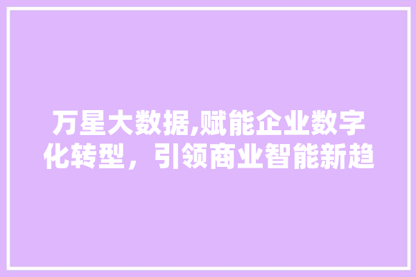 万星大数据,赋能企业数字化转型，引领商业智能新趋势