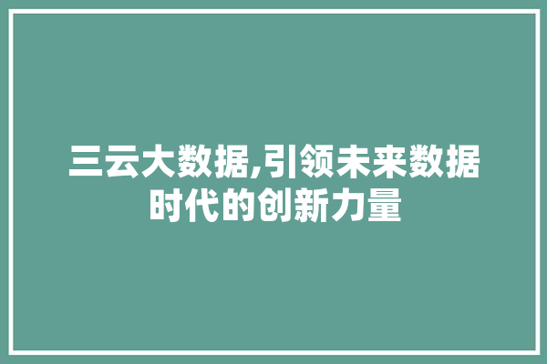 三云大数据,引领未来数据时代的创新力量