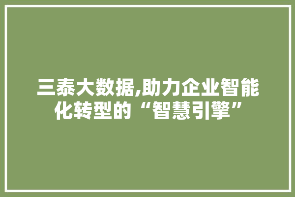 三泰大数据,助力企业智能化转型的“智慧引擎”