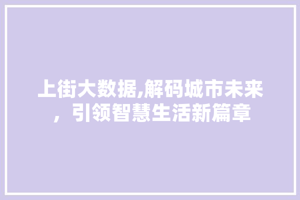 上街大数据,解码城市未来，引领智慧生活新篇章 智能助手