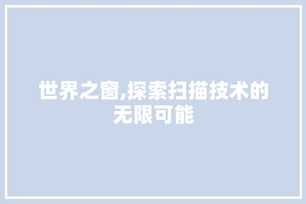 世界之窗,探索扫描技术的无限可能