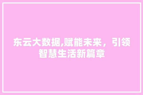 东云大数据,赋能未来，引领智慧生活新篇章