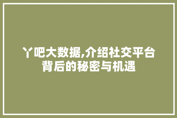 丫吧大数据,介绍社交平台背后的秘密与机遇 计算机