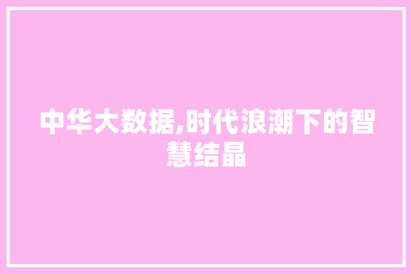 中华大数据,时代浪潮下的智慧结晶 文字写作