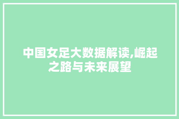 中国女足大数据解读,崛起之路与未来展望