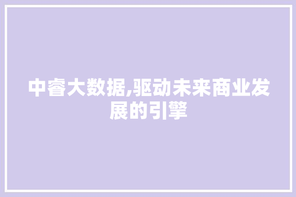 中睿大数据,驱动未来商业发展的引擎