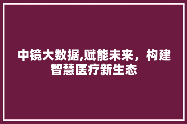 中镜大数据,赋能未来，构建智慧医疗新生态 文字写作