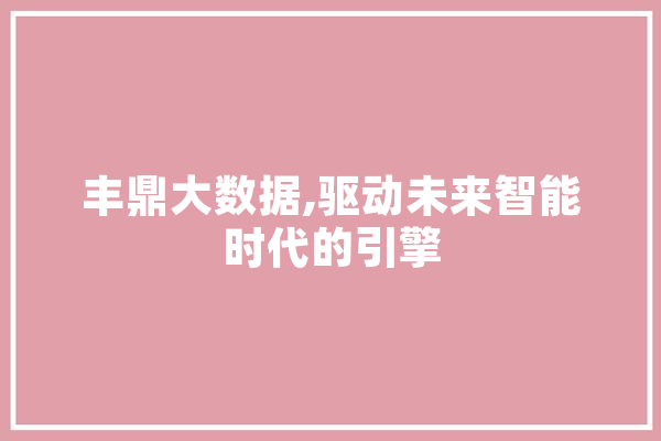 丰鼎大数据,驱动未来智能时代的引擎