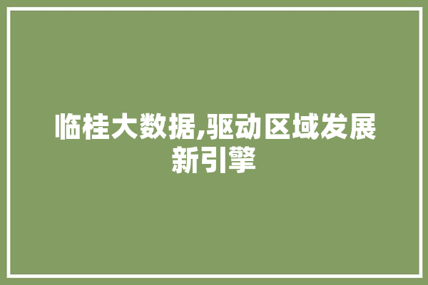 临桂大数据,驱动区域发展新引擎