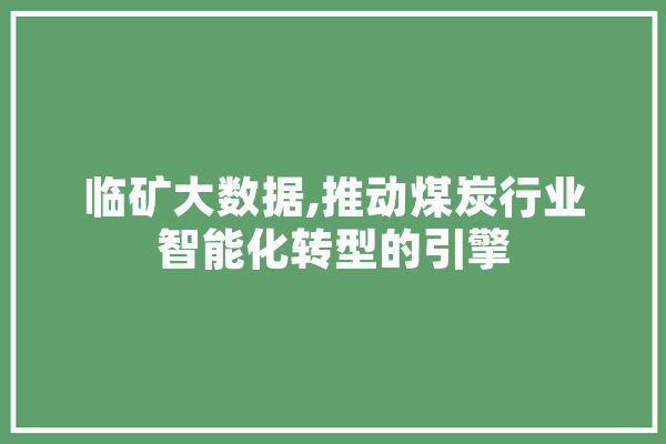 临矿大数据,推动煤炭行业智能化转型的引擎