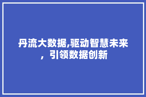 丹流大数据,驱动智慧未来，引领数据创新