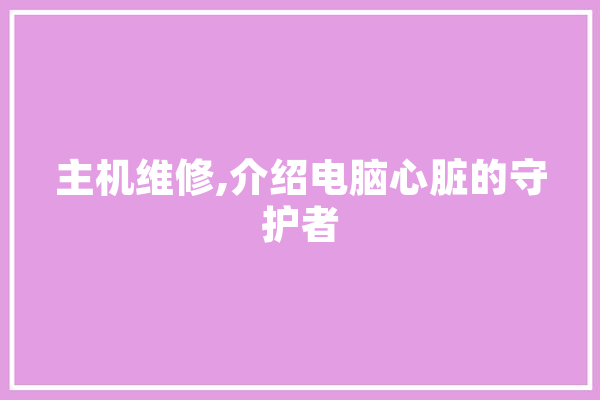 主机维修,介绍电脑心脏的守护者 绘影字幕