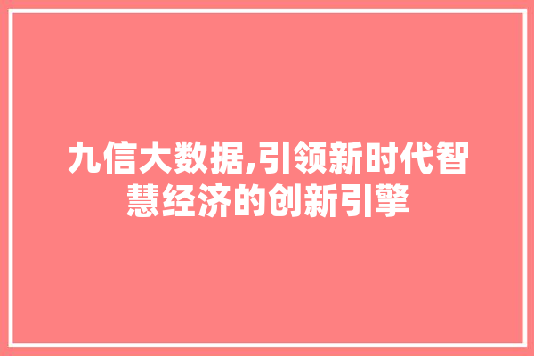 九信大数据,引领新时代智慧经济的创新引擎