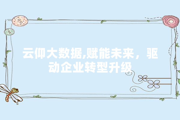 云仰大数据,赋能未来，驱动企业转型升级