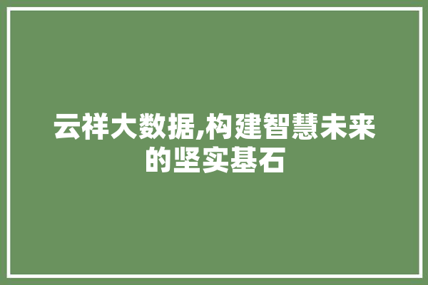 云祥大数据,构建智慧未来的坚实基石 绘影字幕