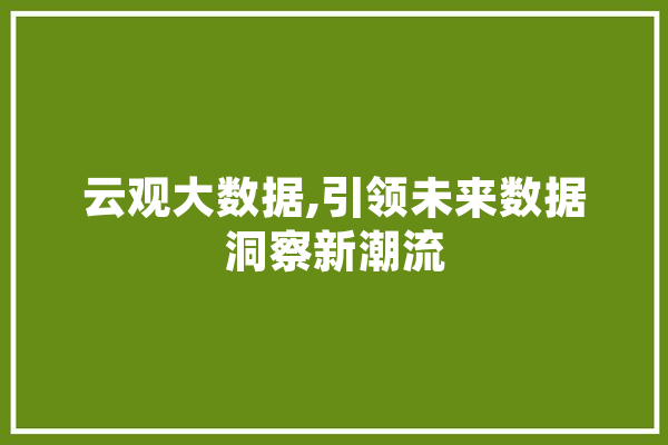 云观大数据,引领未来数据洞察新潮流