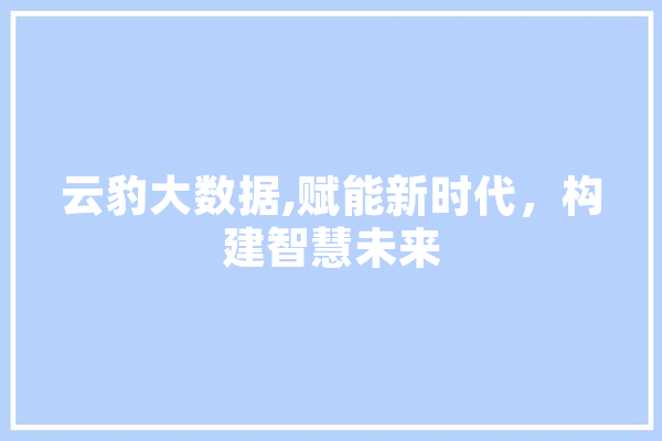 云豹大数据,赋能新时代，构建智慧未来
