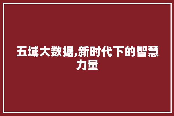 五域大数据,新时代下的智慧力量