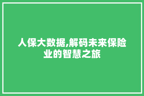 人保大数据,解码未来保险业的智慧之旅