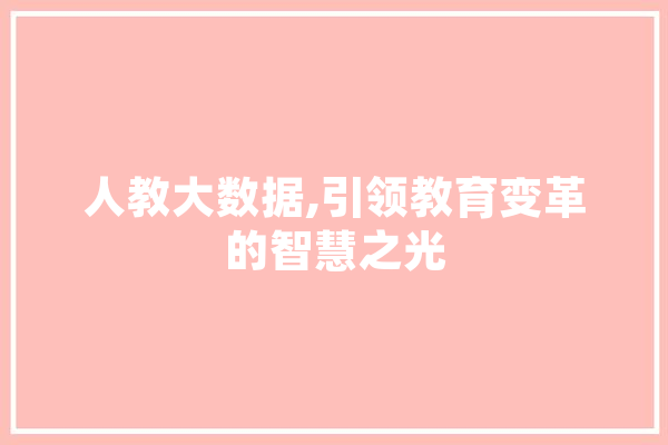 人教大数据,引领教育变革的智慧之光
