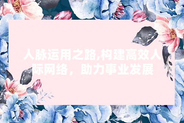 人脉运用之路,构建高效人际网络，助力事业发展