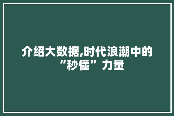 介绍大数据,时代浪潮中的“秒懂”力量 智能助手
