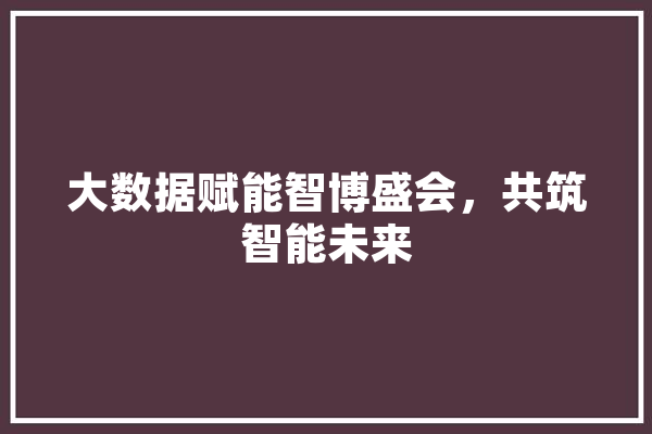 大数据赋能智博盛会，共筑智能未来