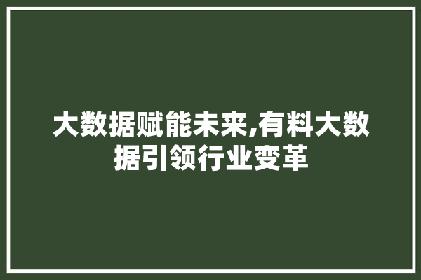 大数据赋能未来,有料大数据引领行业变革