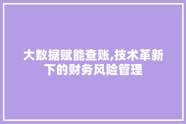 大数据赋能查账,技术革新下的财务风险管理