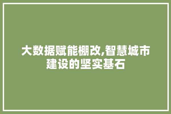大数据赋能棚改,智慧城市建设的坚实基石