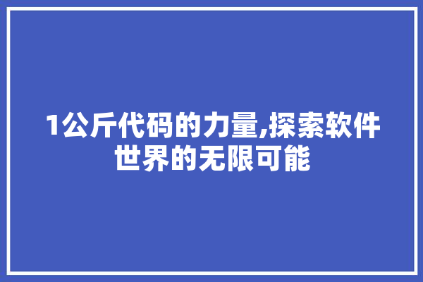 1公斤代码的力量,探索软件世界的无限可能