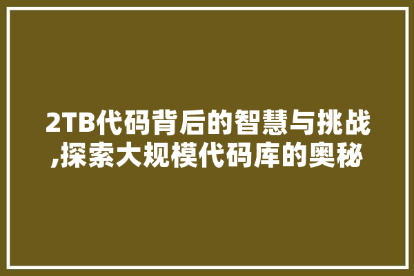 2TB代码背后的智慧与挑战,探索大规模代码库的奥秘