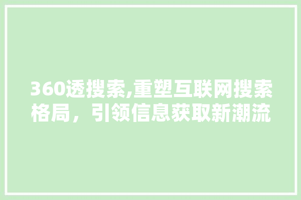 360透搜索,重塑互联网搜索格局，引领信息获取新潮流 云服务